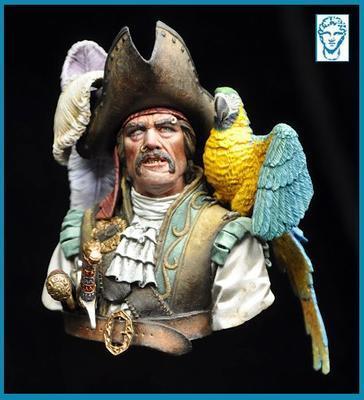 Le Capitaine Pirate BUST