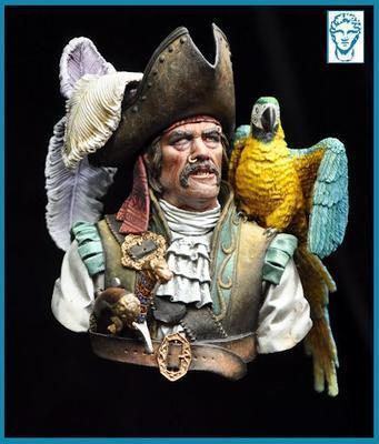 Le Capitaine Pirate BUST