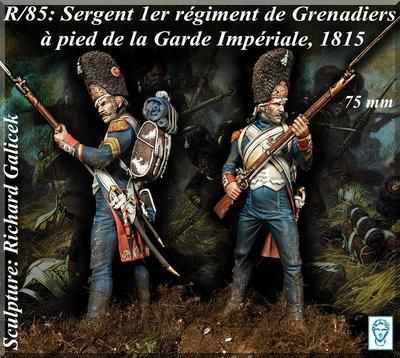 Sergent 1st Rgt. Grenadiers a pied de la Garde Imperiale, Waterloo 1815