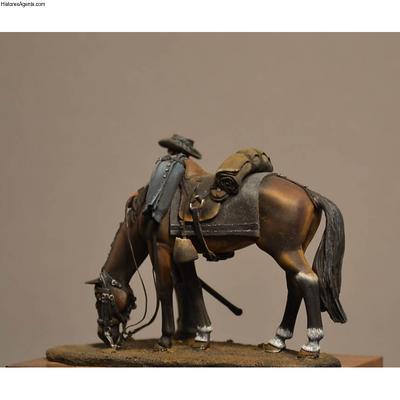 1st Virginia Cavalry C.S.A