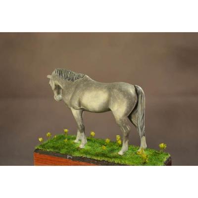 Cheval de selle