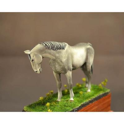 Cheval de selle