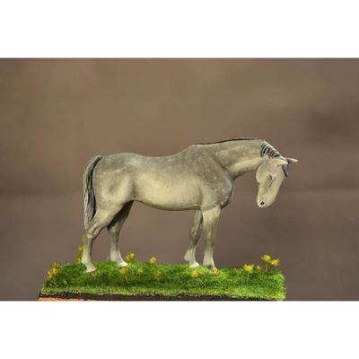 Cheval de selle