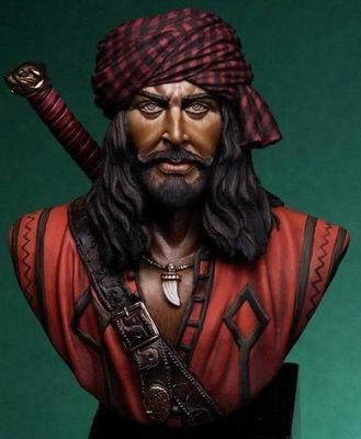 The Pirate BUST