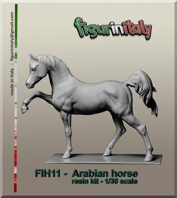 Arabian horse