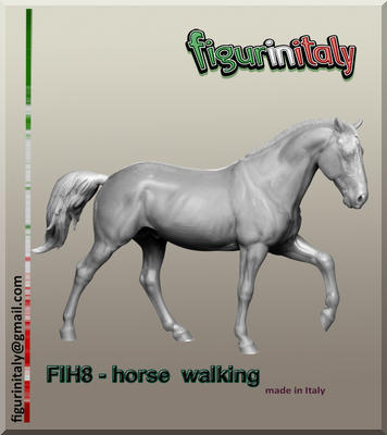 Horse walking
