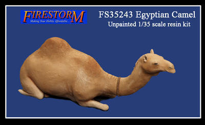 Camel Sitting