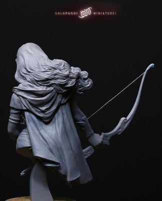 Amaryne - The border Protector