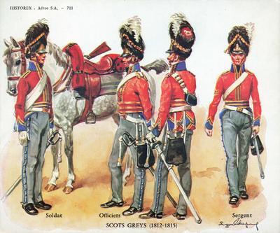 Scots Greys 1812-15 Officer or Standard Bearer or Trumpter or Dragoon