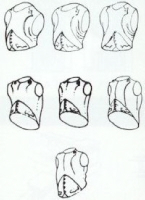 Bodies -7 Torsos various poses