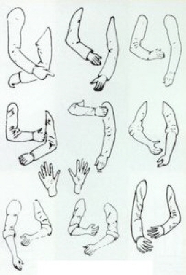 Arms & Hands -10 pairs of arms, 2 pairs of hands