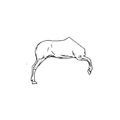 Horse half No.2 (Right Side)