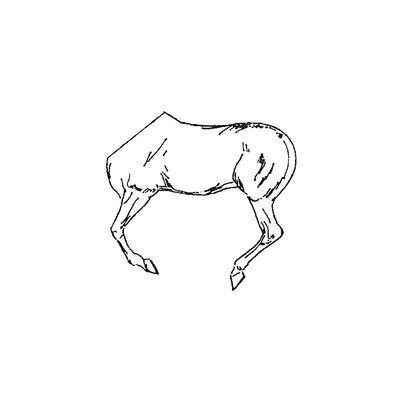 Horse half No.7 (Left Side)