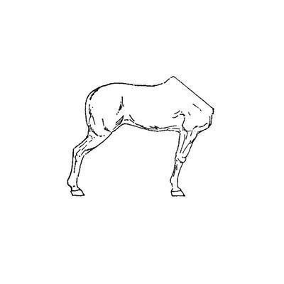 Horse half No.8 (Right Side)