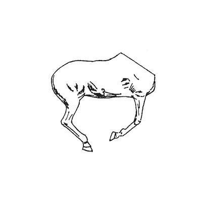 Horse half No.12 (Right Side)