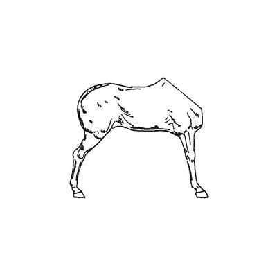 Horse half No.14 (Right Side)