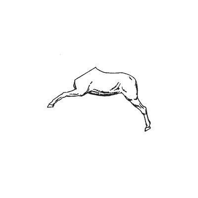 Horse half No.15 (Left Side)