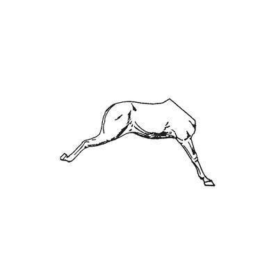 Horse half No.16 (Right Side)