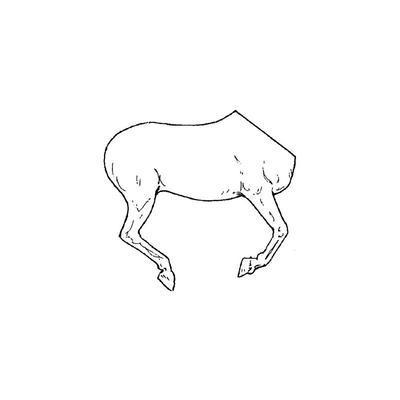 Horse half No.20 (Right Side)