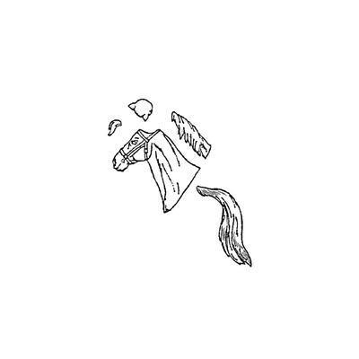 Horse Head No.5