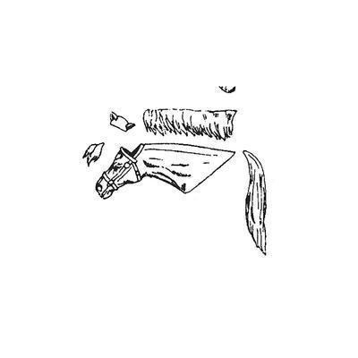 Horse Head No.7