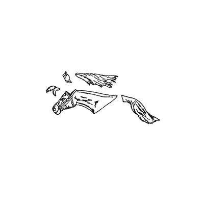 Horse Head No.8
