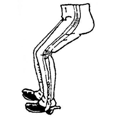 Riding legs tight trousers