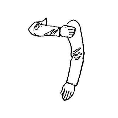 Arms - Right holding standard at attention, left hanging