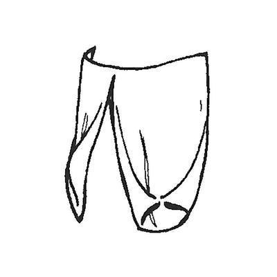 Coat Tails - Infantry 1779-1791