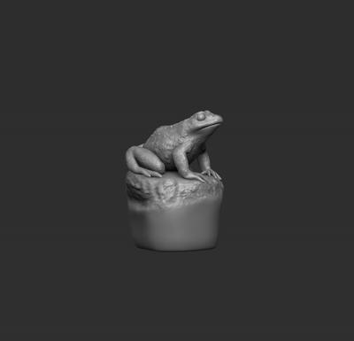 2 x Single Sitting Frogs on Stone