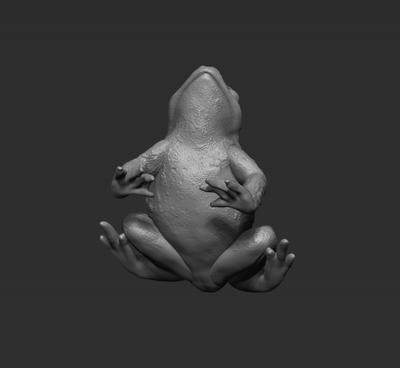 2 x Single Sitting Frogs on Stone