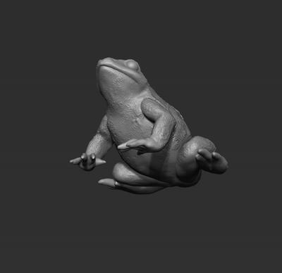 2 x Single Sitting Frogs on Stone