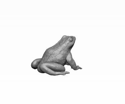 2 x Single Sitting Frogs on Stone