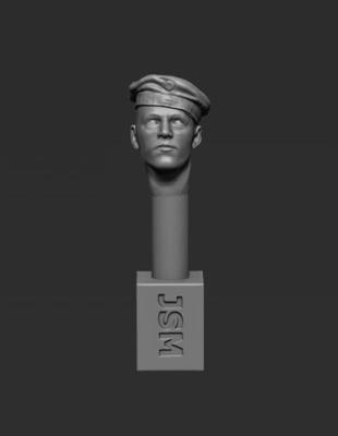 Head - Field Cap with Cap Band - Sloped Left (31BST)