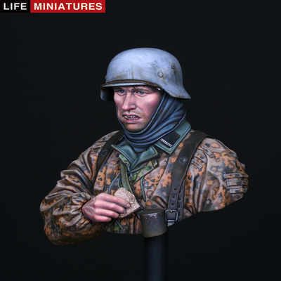 Waffen SS Infantyman Ardennes 1944