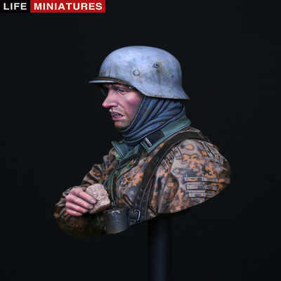 Waffen SS Infantyman Ardennes 1944