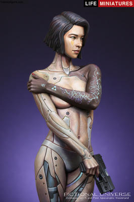 Mirai Humanoid Cyborg Assassin  AD2074