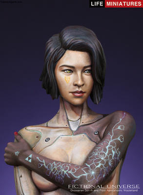 Mirai Humanoid Cyborg Assassin  AD2074