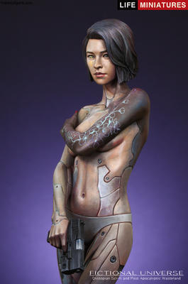 Mirai Humanoid Cyborg Assassin  AD2074