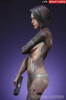 Mirai Humanoid Cyborg Assassin  AD2074