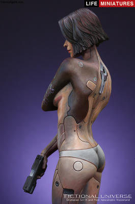 Mirai Humanoid Cyborg Assassin  AD2074