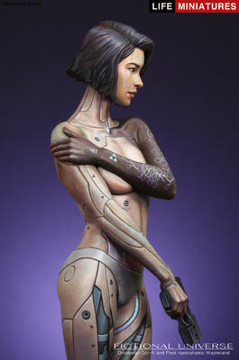 Mirai Humanoid Cyborg Assassin  AD2074