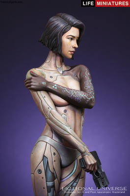 Mirai Humanoid Cyborg Assassin  AD2074