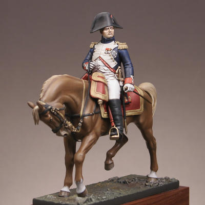 Napoleon In Grenadier uniform of the Guard.