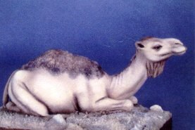 Dromedary Kneeling