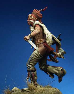 Fox Warrior