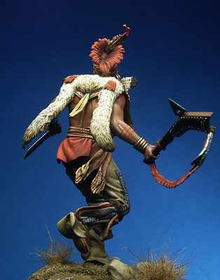 Fox Warrior